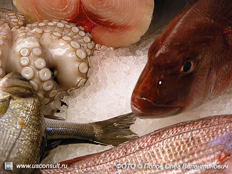 Комбинированная выкладка рыбы и морепродуктов.