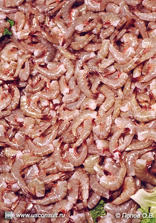Мерчендайзинг рыбы и морепродуктов. Выкладка креветок.